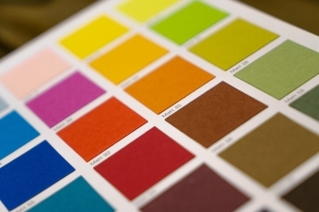 The Power of Color: How to Choose the Right Palette for Your Brand main image